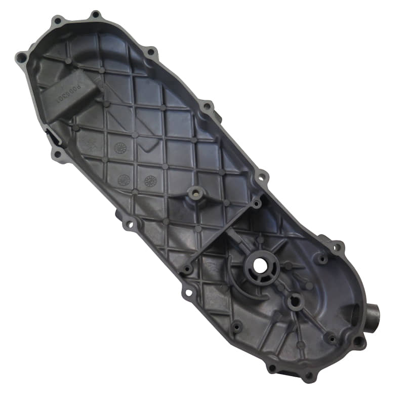 PGO Motorgehäusedeckel links silber 50ccm 2Takt 125ccm 4Takt Motorroller.de Motordeckel Kurbelgehäusedeckel 110ccm-2Takt Scooter T-Rex 125 PMX 110