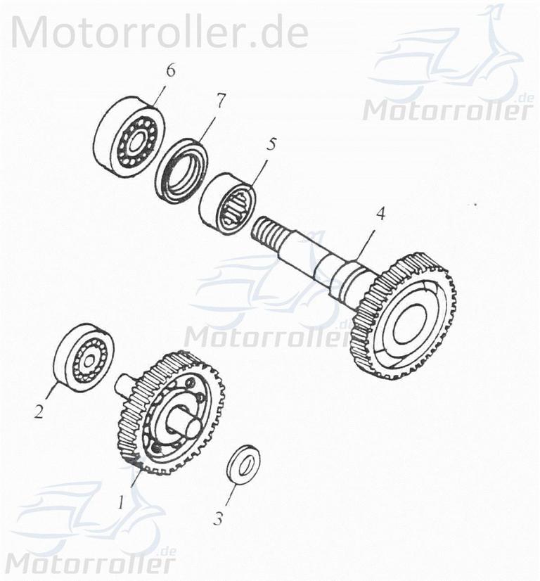 Adly Radlager vorn Scoody 50 2 Kugellager vorne 50ccm 2Takt Motorroller.de 50ccm-2Takt Scooter AT 50 2 Ersatzteil Service Inpektion Direktimport