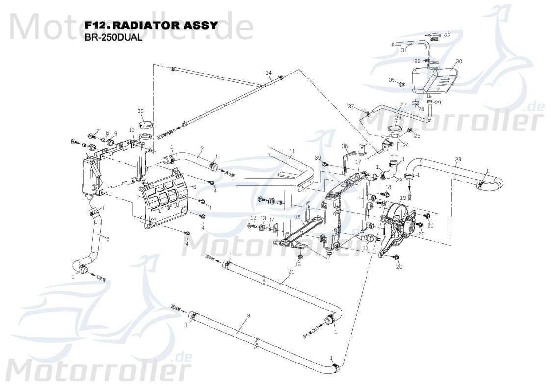 PGO Kühler vorne Bugrider 250 Wärmetauscher 250ccm 4Takt Motorroller.de Kühlaggregat PGO 250ccm-4Takt Buggy Ersatzteil Service Inpektion Direktimport
