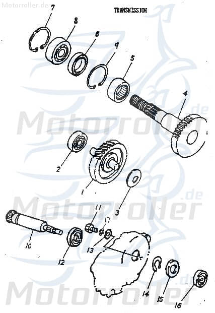 Adly Getriebeingangswelle 15 Zähne Getriebewelle 100ccm 2Takt Motorroller.de Welle-Getriebe Antriebs-Achse Getriebeeingang Welle-Geriebeeingang