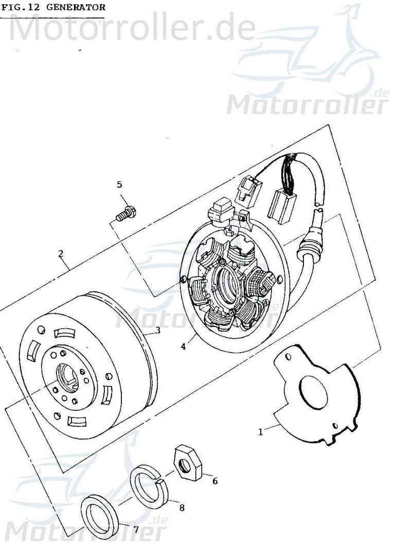Adly Dichtung Lichtmaschine Minarelli stehend 50ccm 2Takt Motorroller.de Stromgenerator Ankerplatte Zündplatte Scooter Fox Plus 50 FP-50 Scoody 50