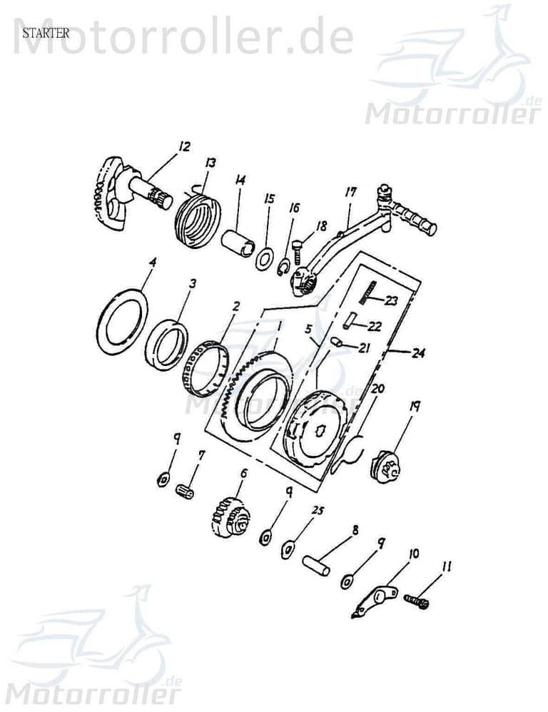 Adly Nadellager 55x59x12.5mm Rollenlager Quad ATV 50ccm 2Takt Motorroller.de Rollen-Lager Walzenlager Kolbenbolzenlager Nadel-Lager Minarelli liegend