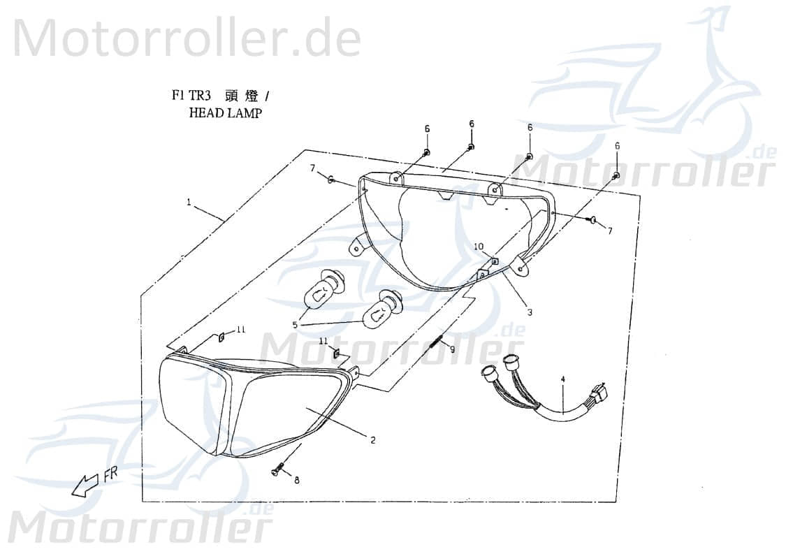 PGO Scheinwerferbirne 12V 18/18W Krypton T-Rex 50 50ccm 2Takt Motorroller.de Leuchte Glühbirne Leuchtmittel Halogen-Birne Scheinwerfer-Lampe Scooter