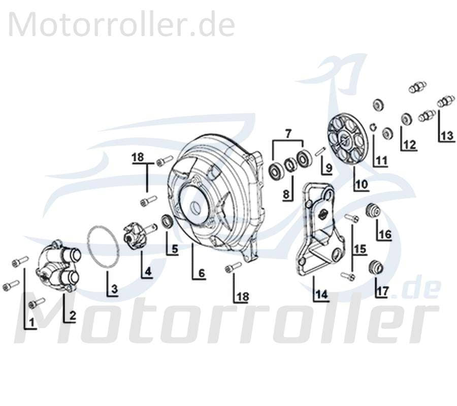 Kreidler Galactica 3.0 LC 50 DD Pumpenrad 50ccm 2Takt 14132-ES5B-9000 Motorroller.de außen (einzeln n.lieferbar) Pumpenantriebsrad Minarelli liegend