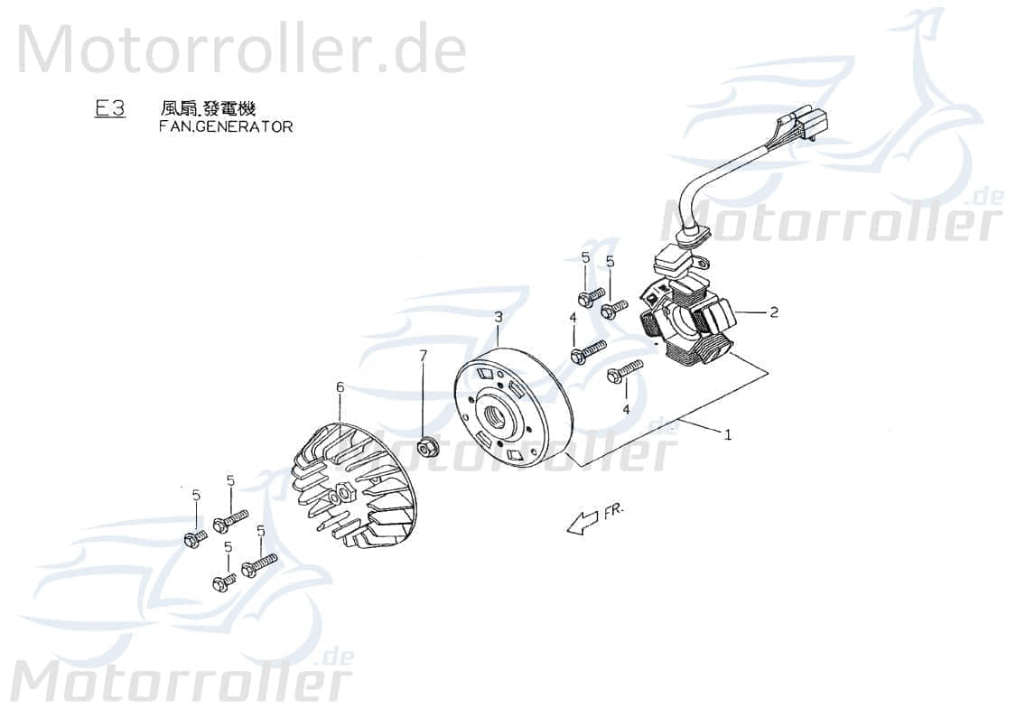 PGO Sechskantschraube M6x12mm T-Rex 50 Halter 50ccm 2Takt Motorroller.de Befestigung Halterung Flachkopfschraube Sechskant-Schraube Bundschraube G-Max