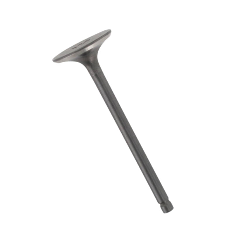 Auslassventil 172MM-022005 YYSLL2500303