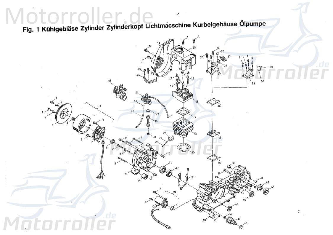 PGO O-Ring Dichtring Star 50 Gummidichtung Gummiring Roller B4000024690 Motorroller.de Oring Gummi-Ring Dicht-Ring PGO 50ccm-2Takt Star 50 2 Mokick