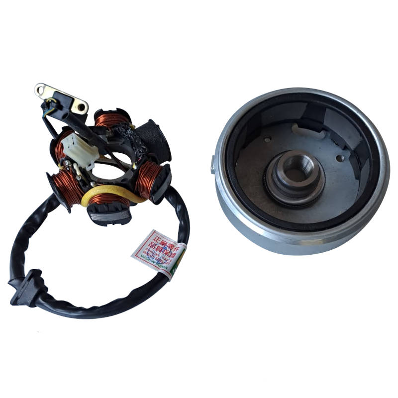 PGO Lichtmaschine AC T-Rex 125 Stator Roller 125ccm 4Takt Motorroller.de Ankerplatte Anker-Platte Stromerzeuger Strom-Generator Licht-Maschine Scooter