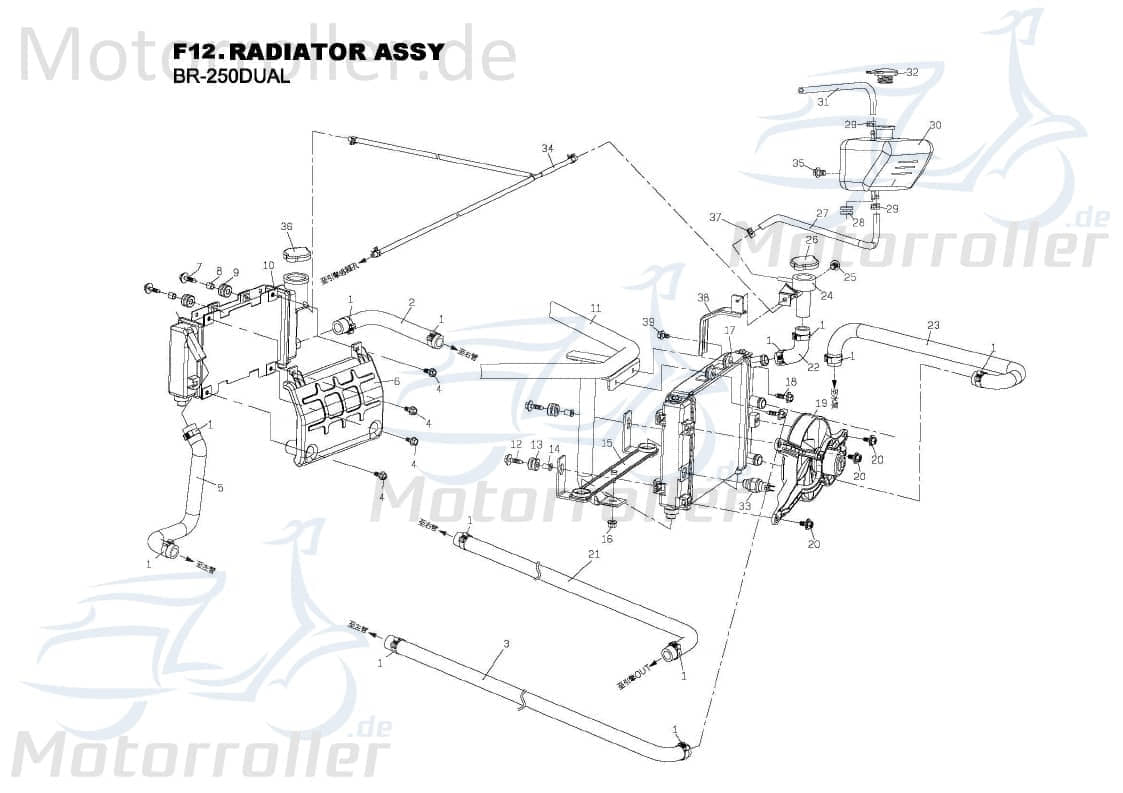 PGO Schlauchklemme für DIM 8mm Schelle 2Takt 250ccm 4Takt Motorroller.de Spannring Clip Klemmschelle Schlauchbinder Klemm-Schelle Schlauch-Schelle