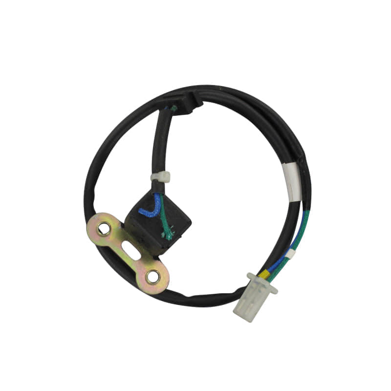 PGO Bugrider 250 Lichtmaschine 50ccm 2Takt 30300-KEBE-900.2 Motorroller.de Stator Ankerplatte Anker-Platte Stromerzeuger Strom-Generator Zündplatte