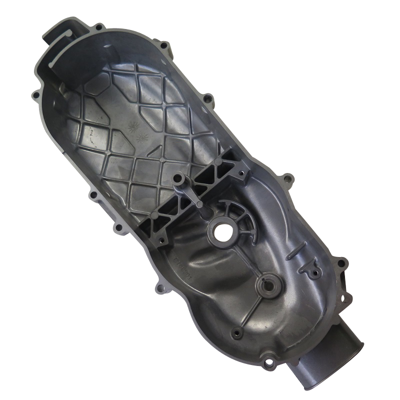 PGO Motorgehäusedeckel links silber T-Rex 125 125ccm 4Takt Motorroller.de Motordeckel Kurbelgehäusedeckel PGO 125ccm-4Takt Scooter G-Max 125 Service