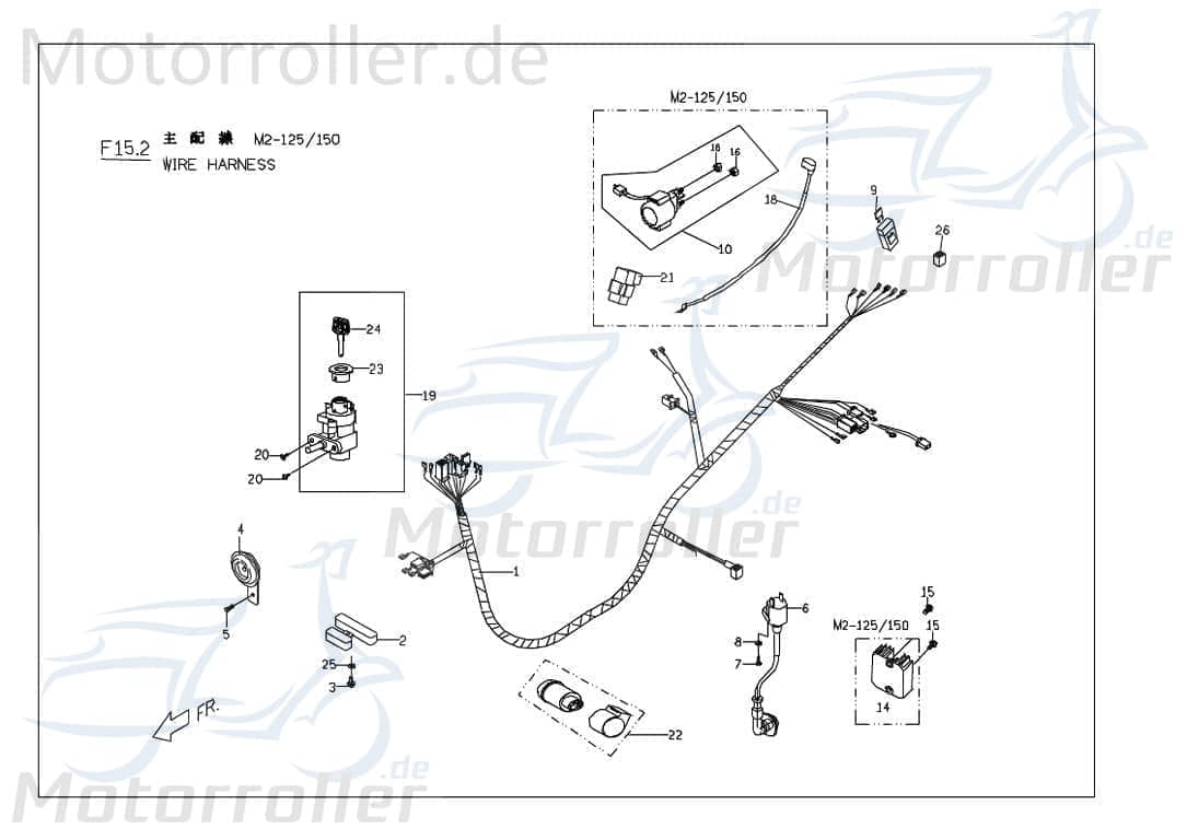 PGO Bundschraube M6x20mm G-Max 50 Flanschschraube 50ccm 2Takt Motorroller.de Maschinenschraube Flansch-Schraube Maschinen-Schraube Bund-Schraube