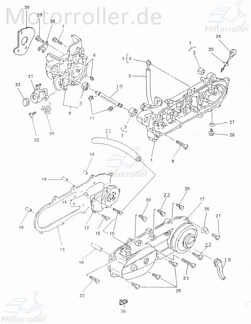 Adly Clip Scoody 50 2 Klemme Klammer Schelle 50ccm 2Takt Motorroller.de Klemmschelle Befestigungsschelle Halteklammer Schraubschelle Halteclip Scooter