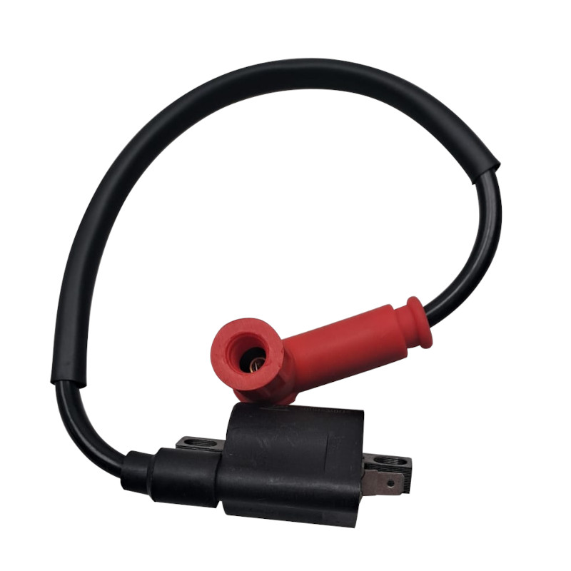 Zündspule Kreidler DICE SM 50 LC Zündung Zündmodul 733012 Motorroller.de Zündkabel Kerzenstecker Supermoto 50 DD Motorrad