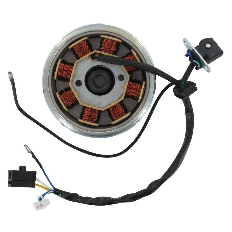 Lichtmaschine komplett Euro 4 45 km/h Znen 31100-SQ5A-9145