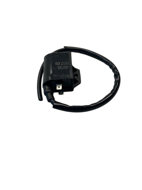 Rex RS250 Zündspule Zündkabel Zündung 50ccm 2Takt 87917 Motorroller.de Zündmodul Kerzenstecker Zünd-Kabel Zünd-Spule Kerzen-Stecker Zünd-Modul Jonway