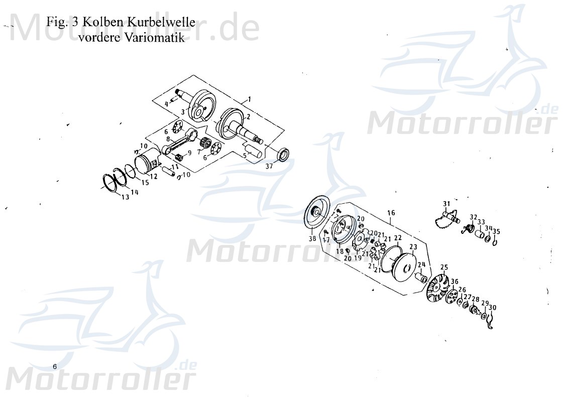 PGO Riemenscheibe Star 50 Keilriemenscheibe 50ccm 2Takt Motorroller.de Luftrad Flügelrad Lüfterrad Lauf-Rad Keilriemen-Scheibe Antriebsscheibe Scooter