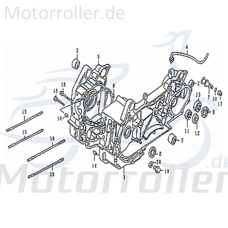 Rex SC 125 Motor Euro3 Engine 125ccm 4Takt 70944 Motorroller.de Ersatzmotor Austauschmotor Komplettmotor Scooter Chinaroller