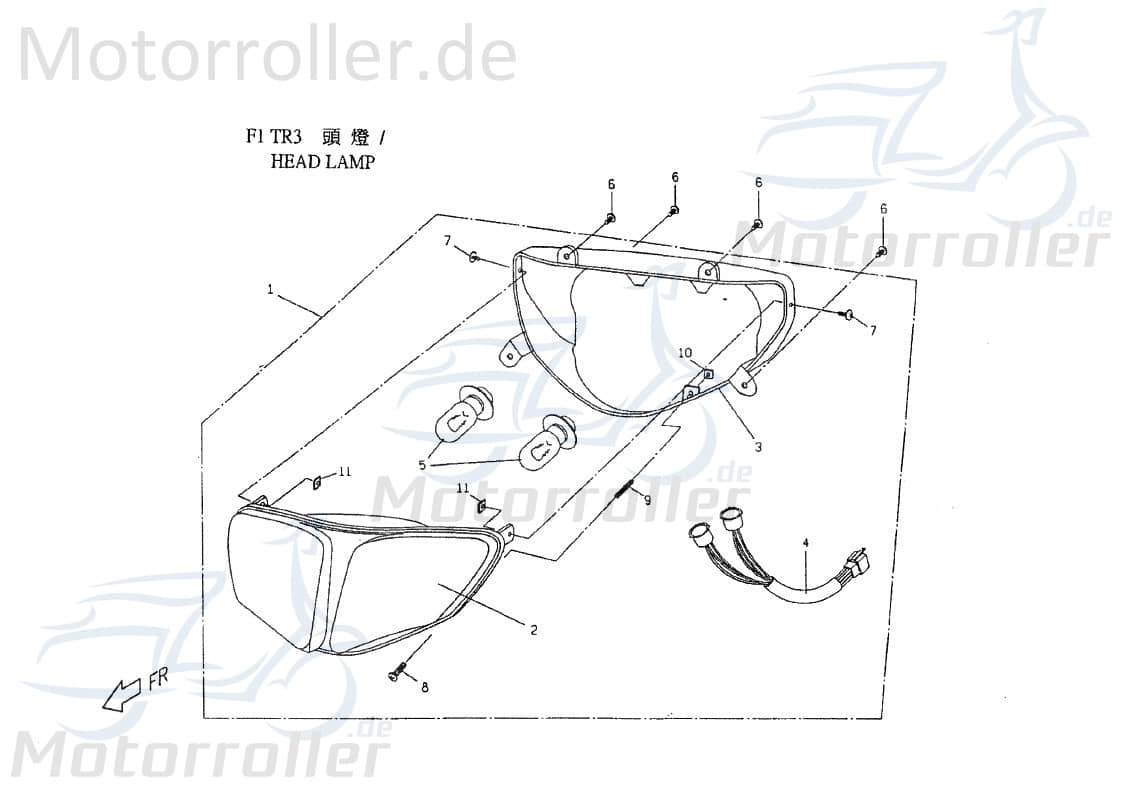 PGO Birne Instrumentenbeleuchtung 12V/3,4W Roller 50ccm 2Takt Motorroller.de 50ccm-2Takt Scooter T-Rex 50 TR3 Ersatzteil Service Inpektion