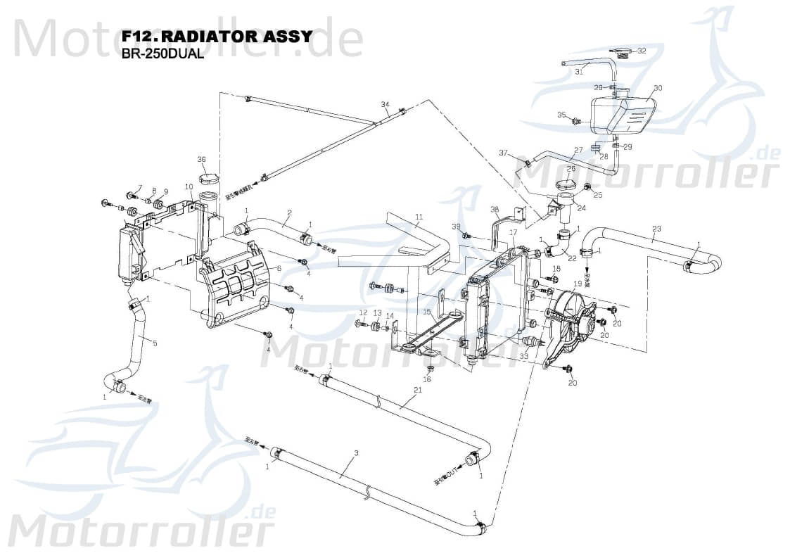 PGO Kühler Bugrider 250 Wärmetauscher Buggy 250ccm 4Takt Motorroller.de Kühlaggregat PGO 250ccm-4Takt Ersatzteil Service Inpektion Direktimport