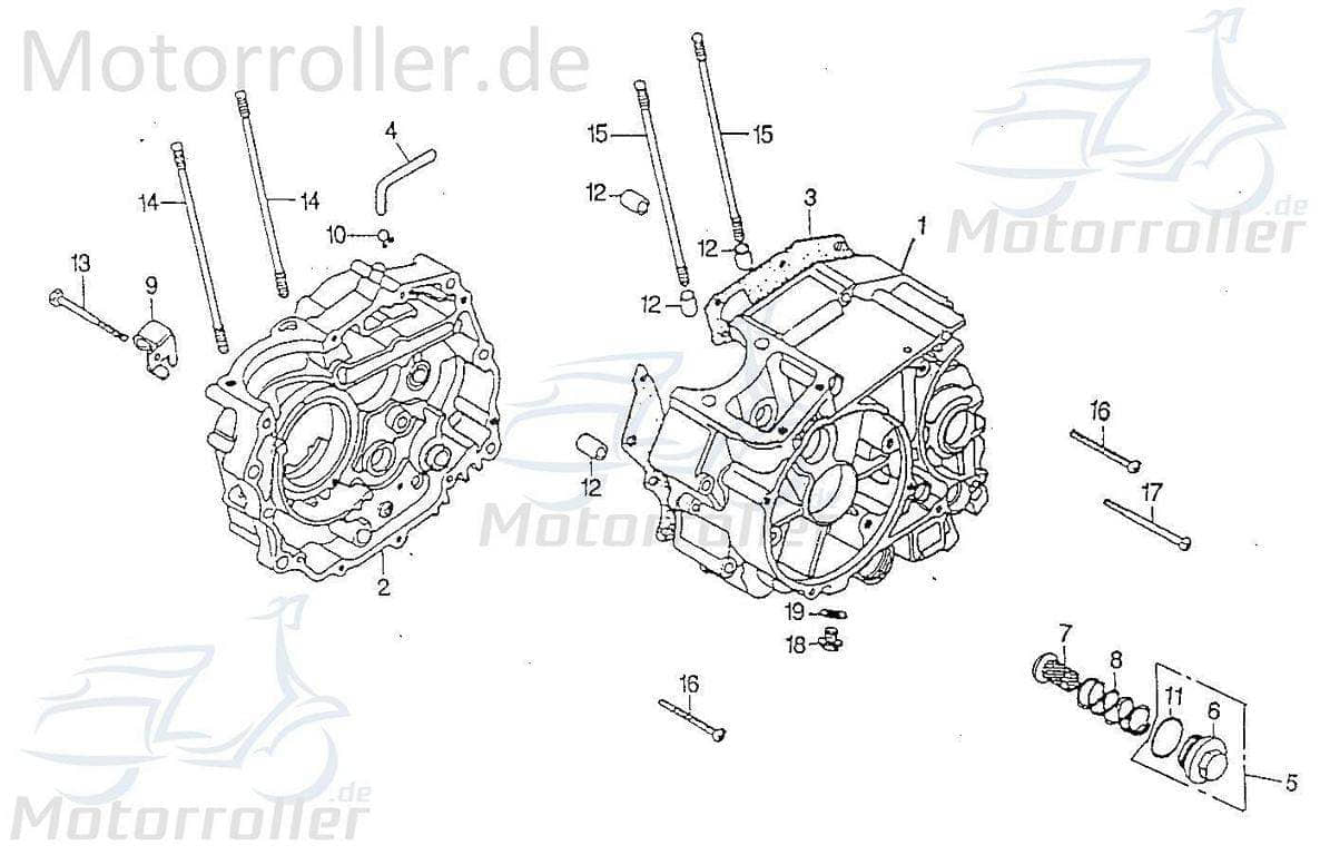 Rex Dichtung Ölablaßschraube Quad 250 Abdichtung 98594 Motorroller.de Ölablaßschraubedichtung Ölablassschraube Ölablassschraubedichtung ATV UTV