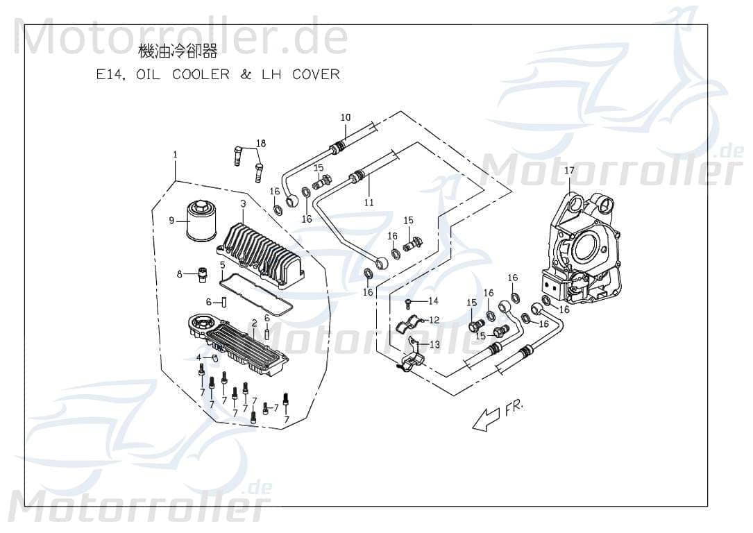 PGO Ölschlauch Ölleitung 2 Ölkühler 125ccm Quad 150ccm 4Takt Motorroller.de Öl-Schlauch Öl-leitung Ölrohr Ausgangsschlauch Eingangschlauch ATV UTV
