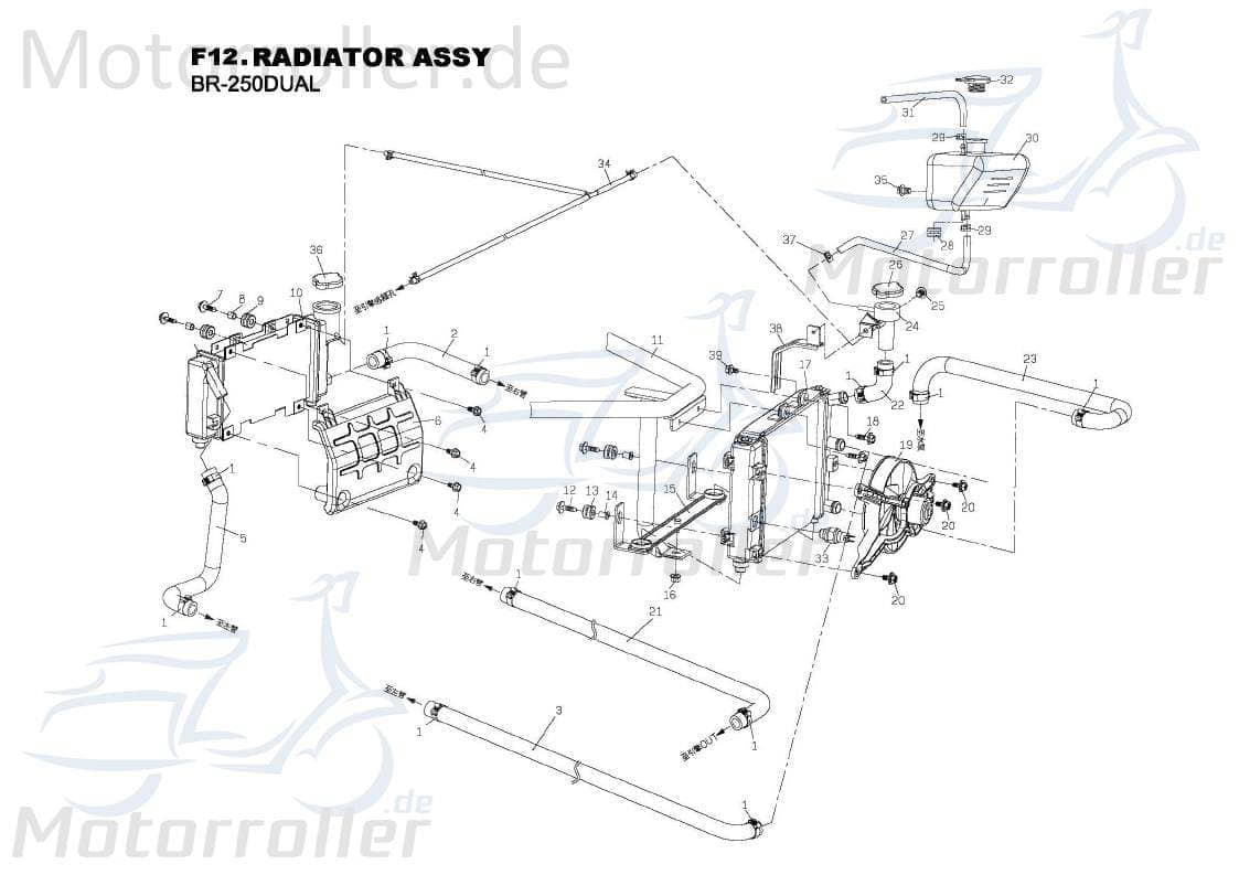 PGO Halteplatte Wasserbehälter Bugrider 250 Metallplatte B77014020000 Motorroller.de Stahlplatte Halter Montageschiene Fixierung Halterung Grundplatte