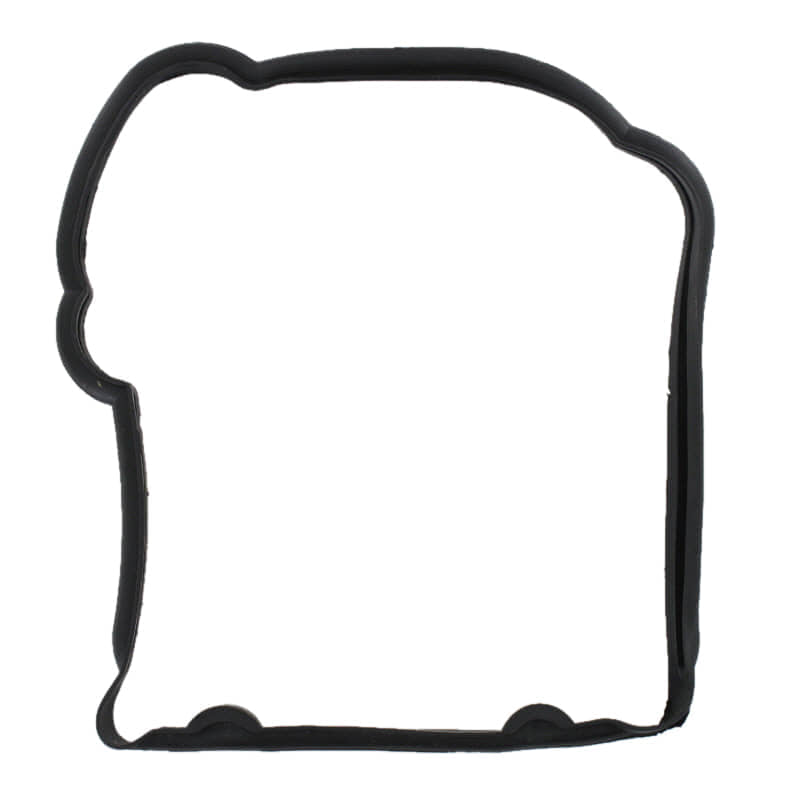 PGO Stranger 50 Ventildeckeldichtung E0204 Motorroller.de Dichtung Ventildeckel Ventilabdeckung Benzhou Yiying Scooter