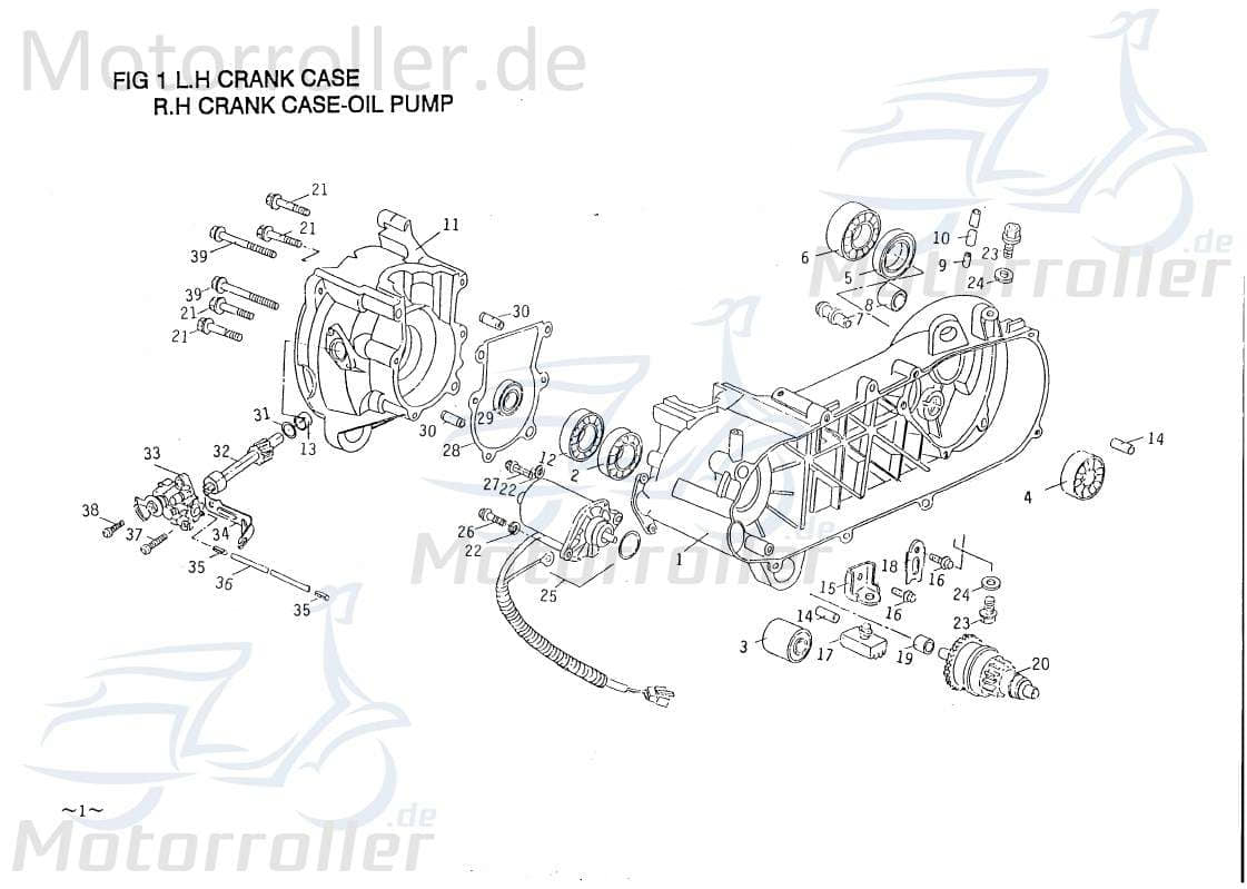 PGO Kugellager Star 50 Wälzlager Rillenkugellager Roller 96510620100 Motorroller.de Nadellager Rollenlager Kugel-Lager Wellenlager Radiallager Mokick