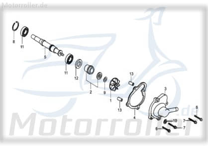 Bundschraube M6x40mm Tongjian BUGGY 250 250ccm 4Takt Motorroller.de Maschinenschraube Flanschschraube Flansch-Schraube Maschinen-Schraube Ersatzteil