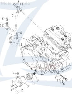 Beeline Pista 50 Dichtung SEAL 50ccm 2Takt 15552-CGV-00 Motorroller.de Abdichtung Gasket Scooter Exploroer Trasher 520 Supersport Ersatzteil Service