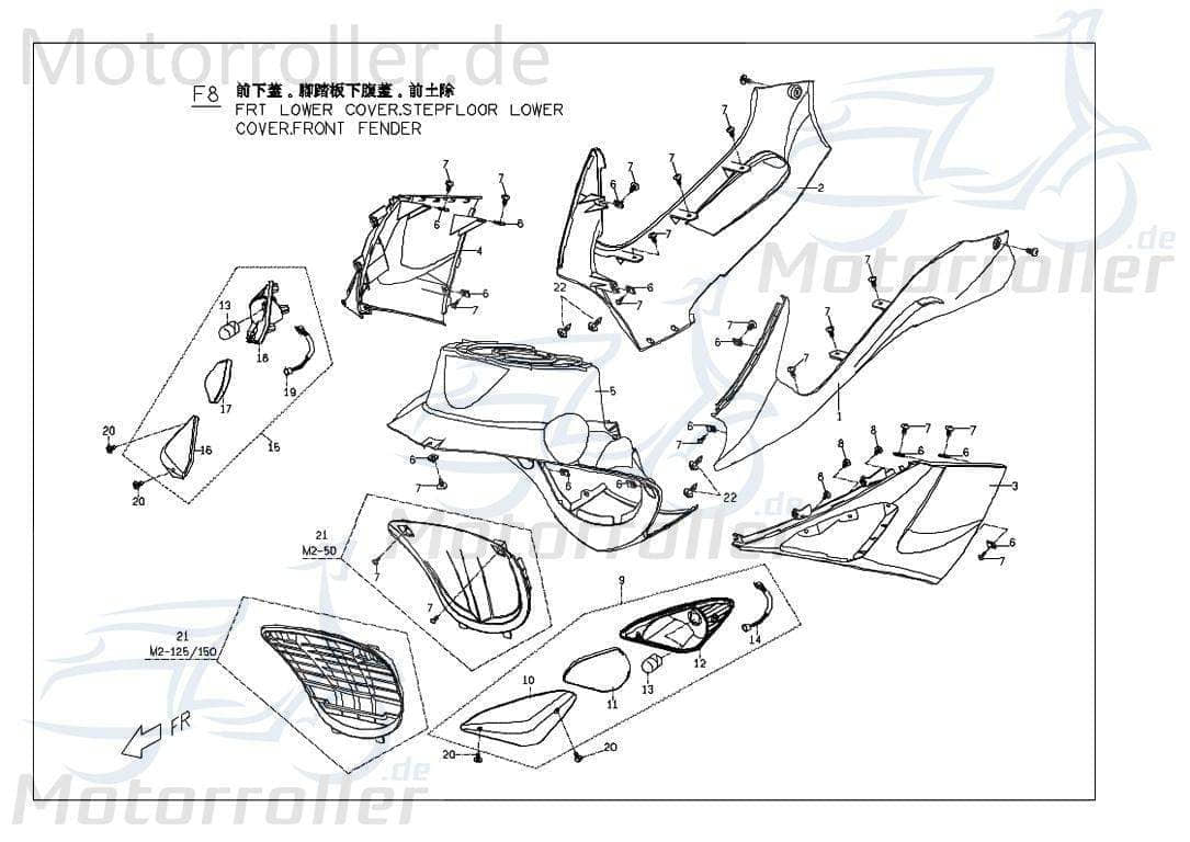 PGO Blinker rechts vorn G-Max 50 Signalleuchte 50ccm 2Takt Motorroller.de Blinklicht Blinkleuchte Fahrtrichtungsanzeiger Blinkleuchten Blinkerleuchte