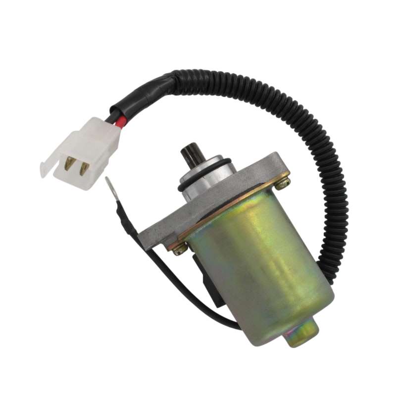 PGO Anlasser 50ccm-2Takt TR3 50 Mofa Starter Anlasser-Motor E1241001000 Motorroller.de Elektrostarter E-Starter Anlassermotor Elektro-Starter Service