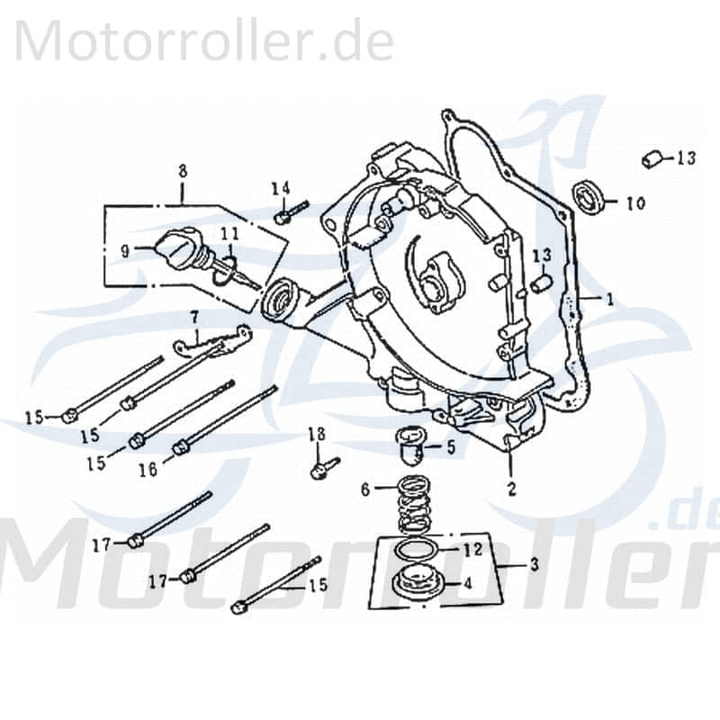 Feder Ölfilter Rex RS450 Druck Roller Scooter 80337 Motorroller.de Ölfiltersieb Ölsiebfeder Federdruck 50ccm-4Takt Off Limit Ersatzteil Service