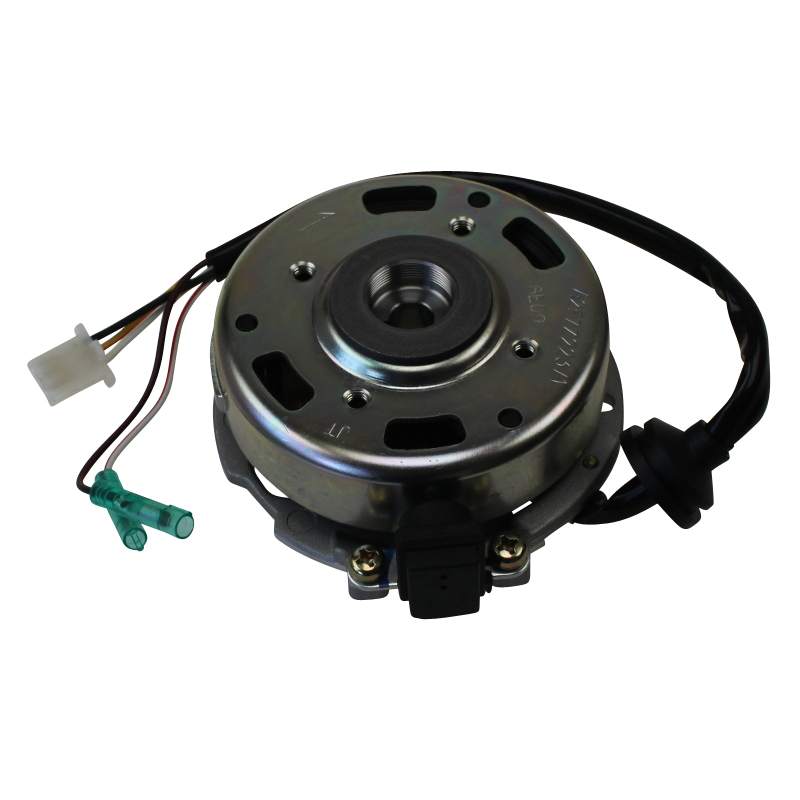 SMC Lichtmaschine Stator 2Takt 50ccm Rex Roller 50ccm 2Takt Motorroller.de Ankerplatte Zündplatte Zündgrundplatte Lichtmaschinenspulen Generatorplatte