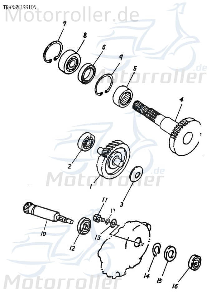 Antriebswelle Gangrad 13 Zähne Adly Antriebsachse 50ccm 2Takt Motorroller.de Ausgangswelle Getriebeausgangswelle Getriebewelle Eingangswelle Scooter
