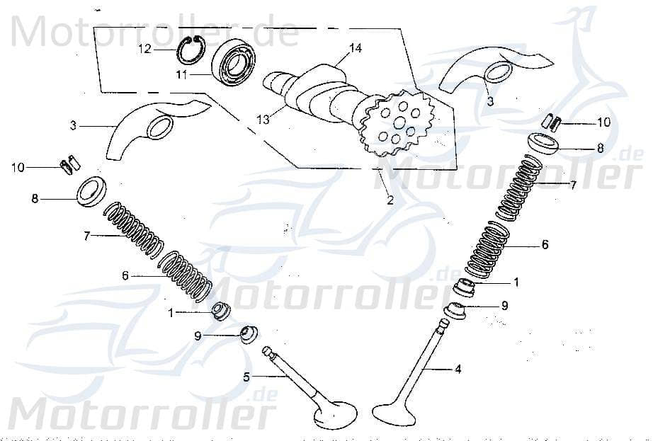 Einlassventil Tongjian Strassenbuggy 250 172MM-022001 Motorroller.de Eppella ECM TBM Twister Hammerhead Wangye Kasea Buggy