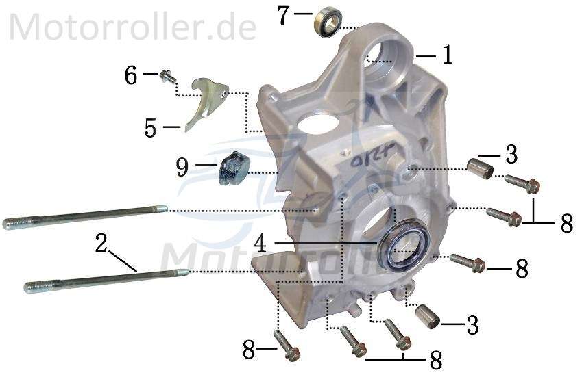 Kurbelgehäuse rechts 2Takt 50ccm Aeon Cobra 50 Quad ATV 12099 Motorroller.de Motorgehäuse Motorblock 1E40QMB Minikolt 50 Offroad Ersatzteil Service