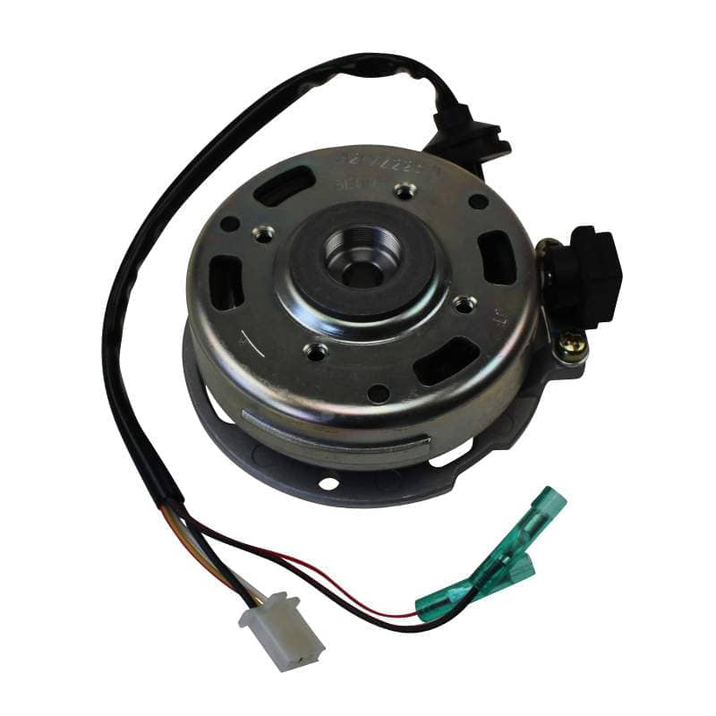 Lichtmaschine Stator 2Takt 50ccm Rex Ankerplatte 50ccm 2Takt Motorroller.de Zündplatte Zündgrundplatte Lichtmaschinenspulen Lichtmaschinenwicklung