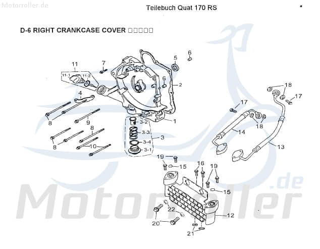 AEON Simmerring 19.8x30x5mm Kurbelwelle Quad ATV 180ccm 4Takt Motorroller.de Simmering Wellendichtring Abdichtring Dichtringe Radialdichtring UTV