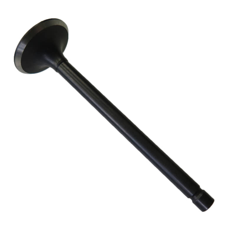 Chunlan Chopper Einlassventil 125ccm 4Takt 244FM.01.01-06 Motorroller.de Motorventil Motor-Ventil Einlass-Ventil Ventil-Einlass Zylinderkopfventil