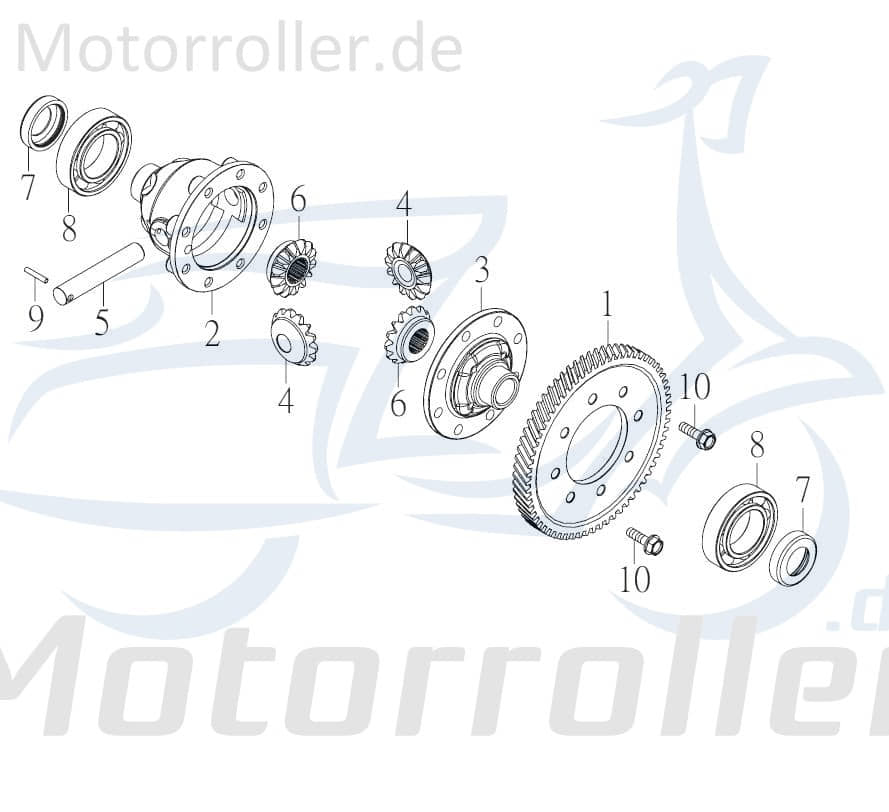 Schneckenräder Differential 72263