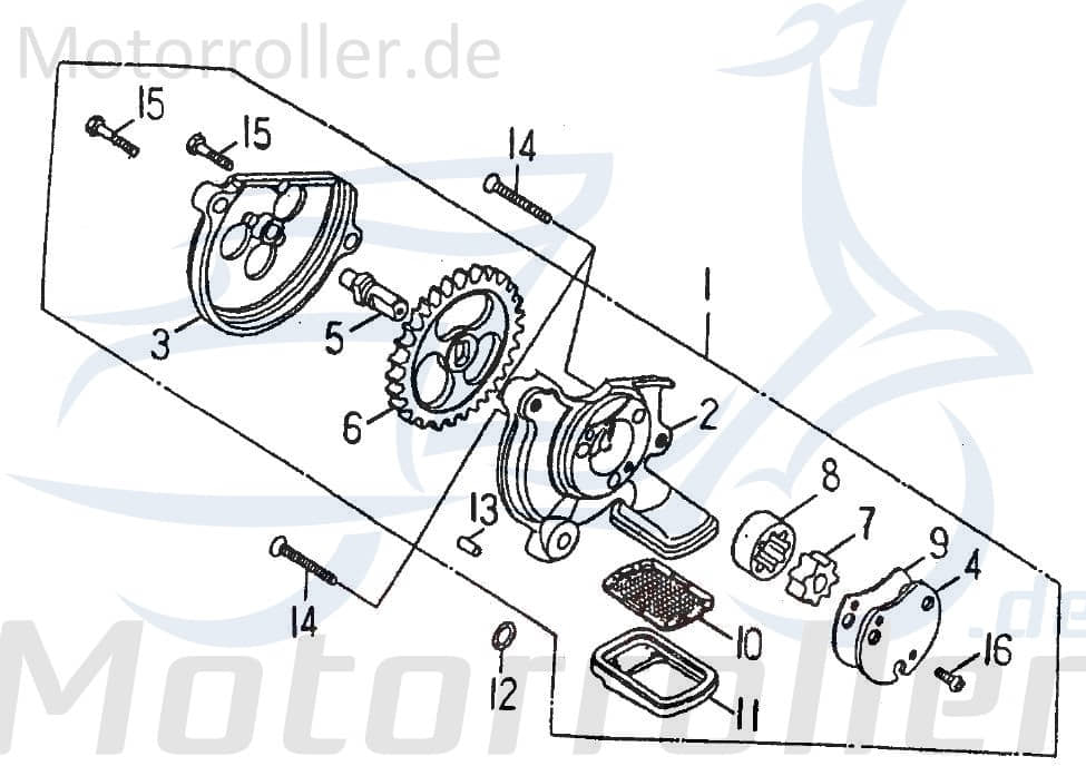 Sechskantschraube Barossa Cheetah 250 Halter ATV 250ccm 4Takt Motorroller.de Befestigung Halterung Flachkopfschraube Sechskant-Schraube Bundschraube