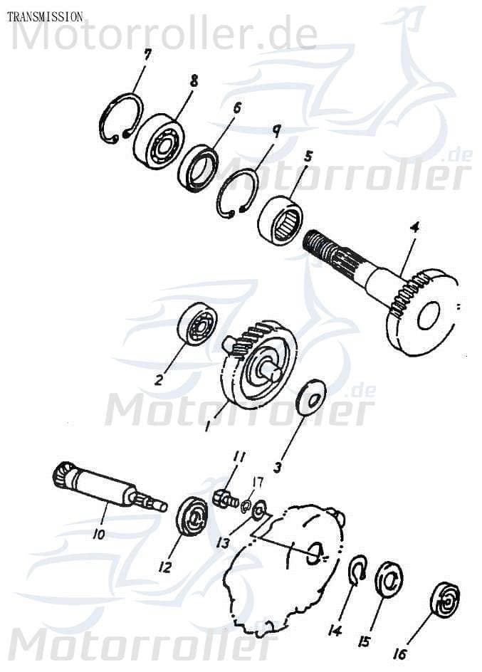 Adly Nadellager ATV 50 II Utility XXL AC Quad 50ccm 2Takt Motorroller.de Rollenlager Rollen-Lager Walzenlager Kolbenbolzenlager Nadel-Lager ATV 50 V