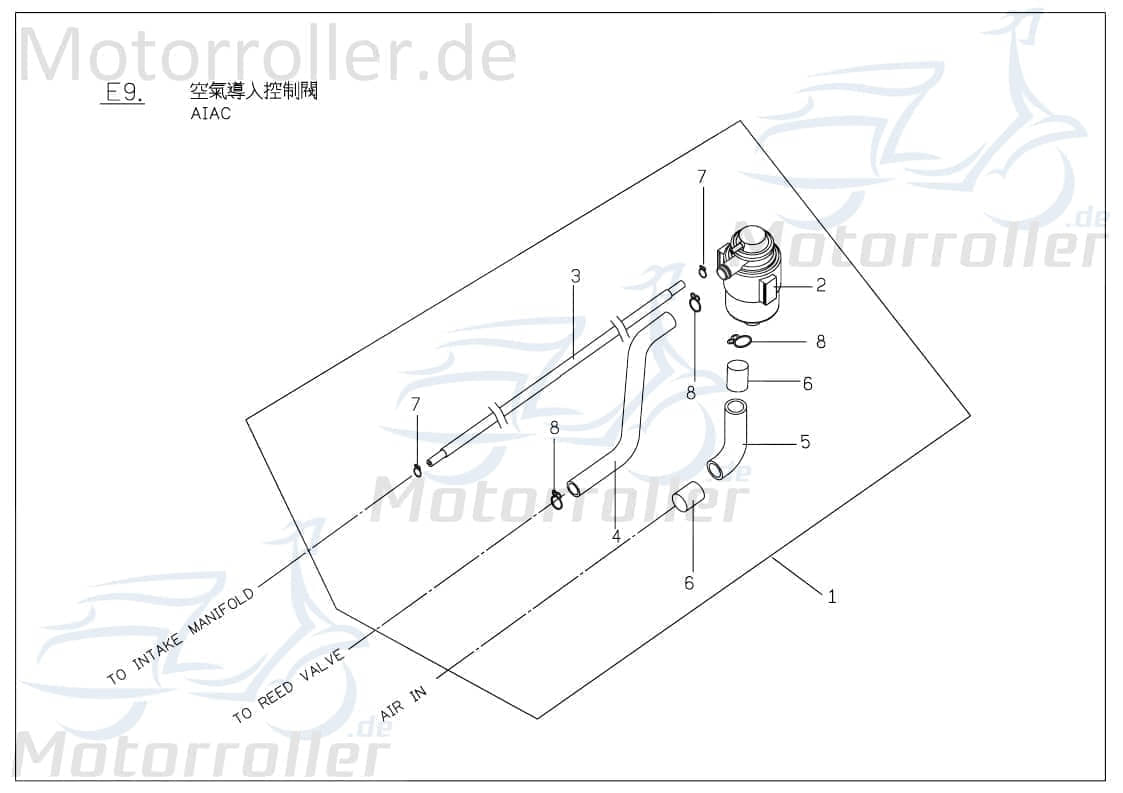 Aiac Sekundärluftsystem Komplett SLS PGO P62862100002
