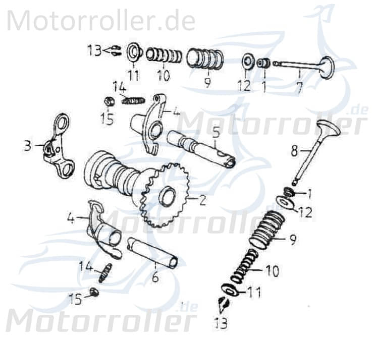 Adly Einlassventil 64.9x23.9x4.9mm GK 125 Buggy 125ccm 4Takt Motorroller.de Motorventil Motor-Ventil Einlass-Ventil Ventil-Einlass Zylinderkopfventil