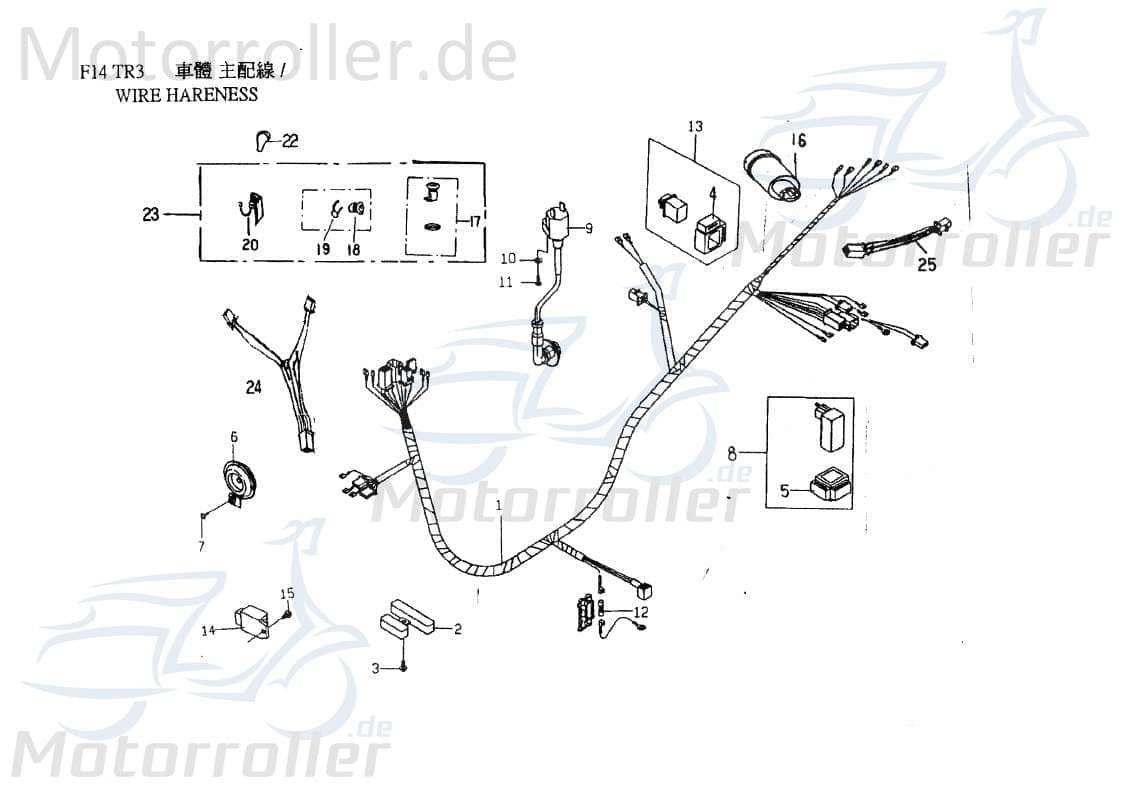 PGO Schlosssatz TR3 50 Zündschloss Tank-Deckel 50ccm 2Takt Motorroller.de Tankverschluss Tank-Verschluss Schloss-Set Zünd-Schloss Schlossgarnitur