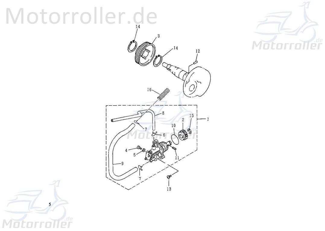 SMC Schraube M5x16mm verzinkt Barossa Quad ATV 250ccm 4Takt Motorroller.de Bundschraube Maschinenschraube Flanschschraube Flansch-Schraube Cheetah 250
