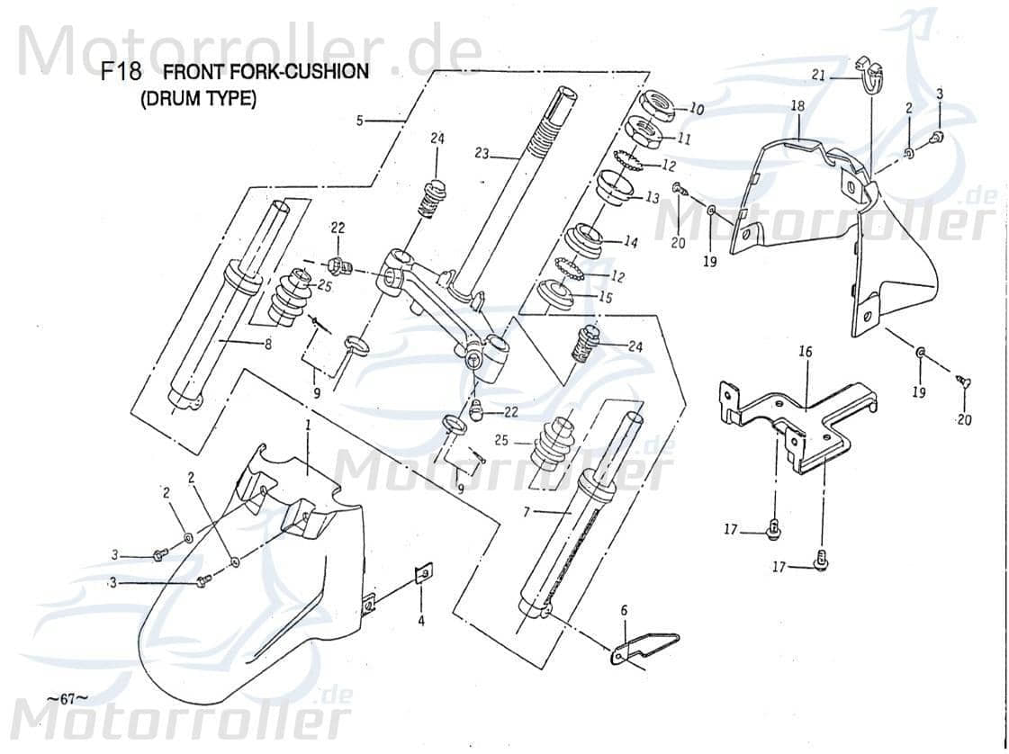 PGO Lenklagerschale Galaxy 50 Lenkung Roller E1444020000 Motorroller.de Comet 50 Mokick Ersatzteil Service Inpektion Direktimport