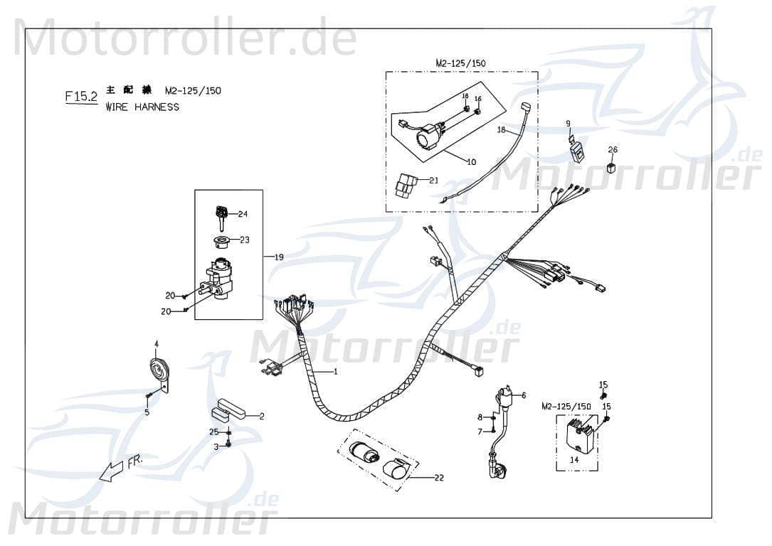 PGO Hupe 12V T-Rex 50 Signalhorn Signal-Horn Töte 50ccm 2Takt Motorroller.de Hupsignal Hup-Signal PGO 50ccm-2Takt Scooter G-Max Ersatzteil Service
